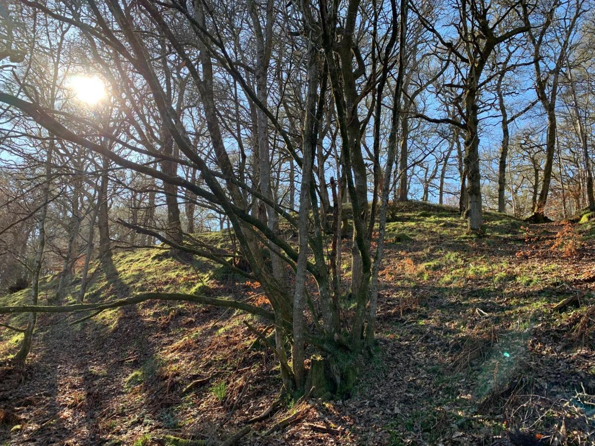 Loch Ness Woodland Pods Ξενοδοχείο Drumnadrochit Εξωτερικό φωτογραφία
